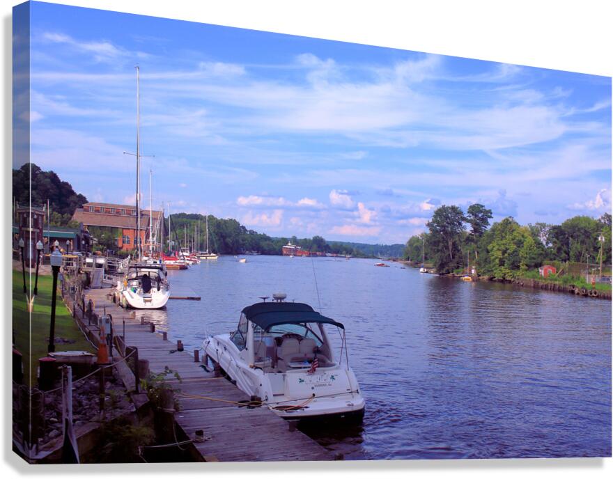 Downstream Canvas Print