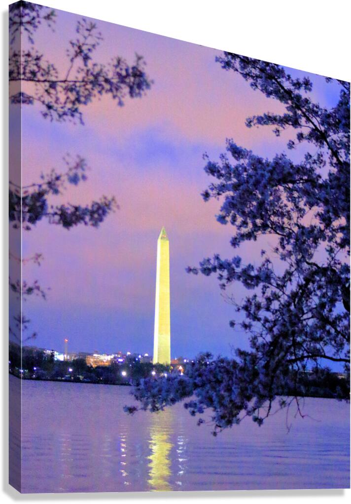 Early Morning at the Reflectimg Pool Washington M Canvas Print