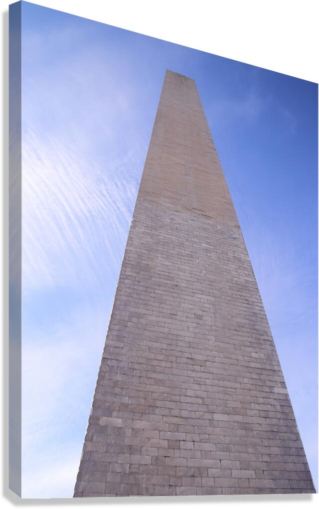 Upwards Canvas Print