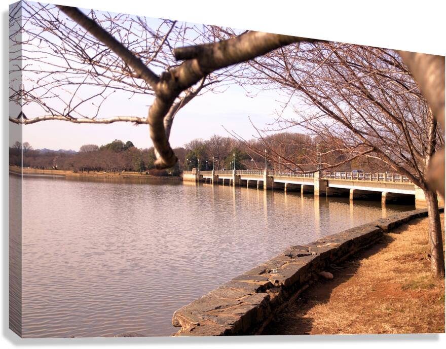 Bridge View Canvas Print