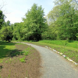 Curved Path