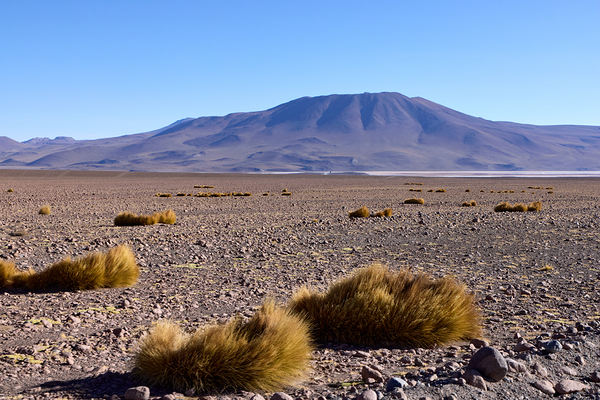 Bolivia Avaroa National Park 3 Print