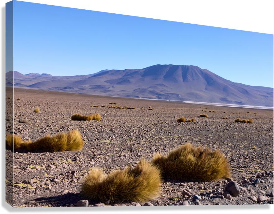 Bolivia Avaroa National Park 3 Canvas Print
