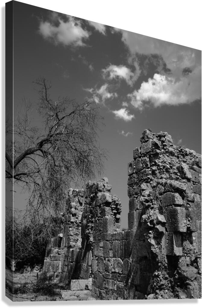 Zaraka abbey Canvas Print