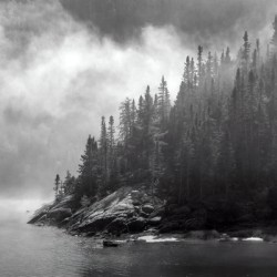 Brume