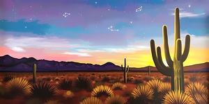 The Magic of Natural Landscapes