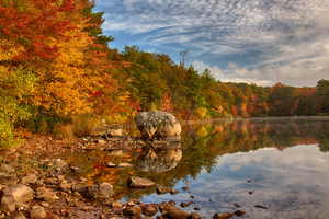 New England fall colors in morning