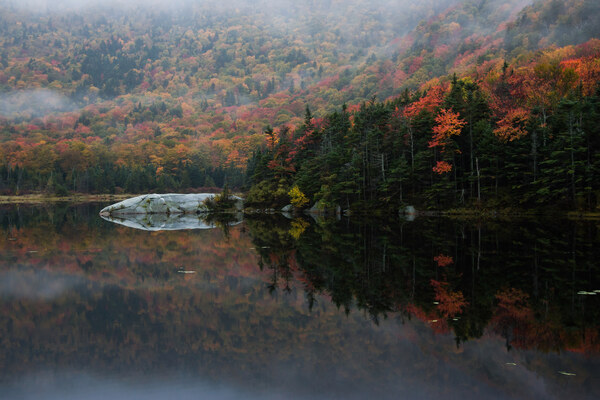 Beaver Pond fall foliage Reflection Print