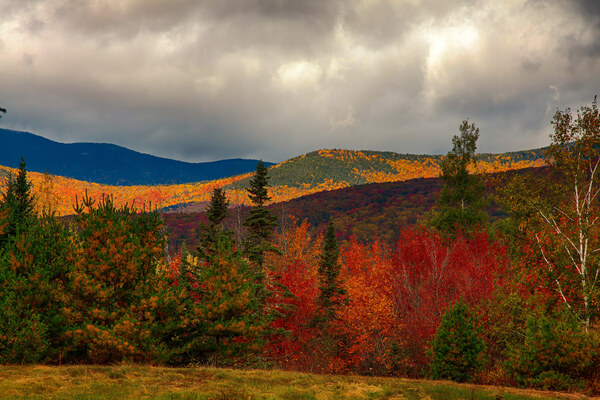 View from Followers Mill Rd. of Mount Chocorua  by Jeff Folger