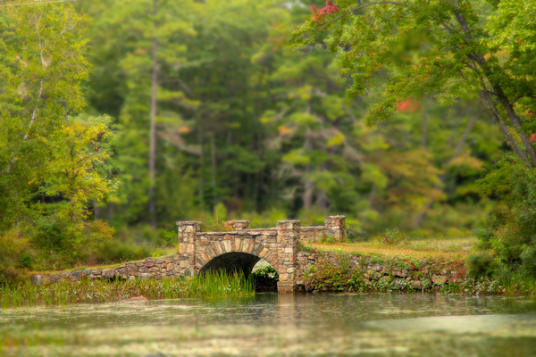 Stone Bridge Print