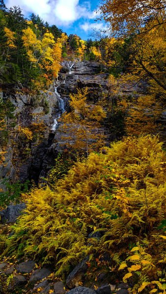 The Crystal Cascade Stream by Jeff Folger