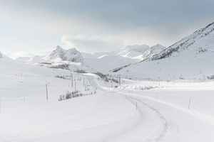 White landscape