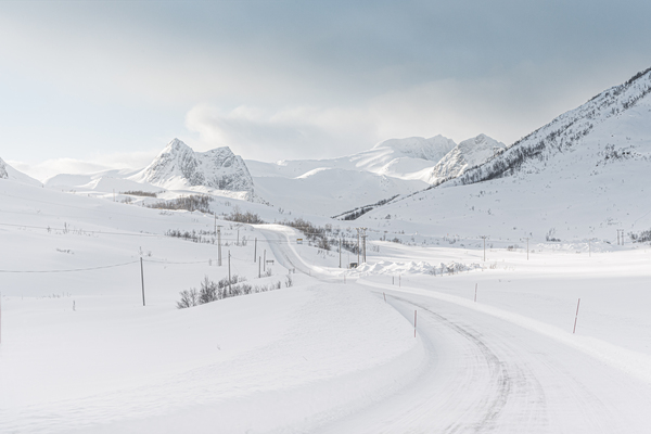 White landscape Print