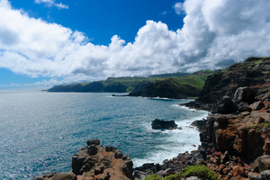 Land Meets Ocean
