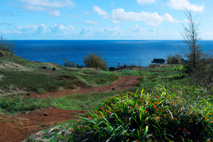 Road To The Deep Blue Sea