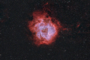 Rosette Nebula