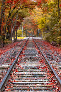 Tracks into fall