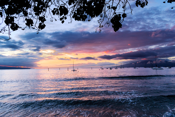 A Luau Sunset Print