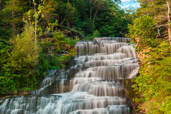 Hector falls landscape Print