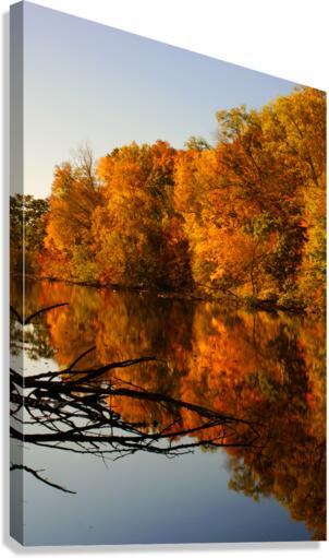Fall Reflections Canvas Print