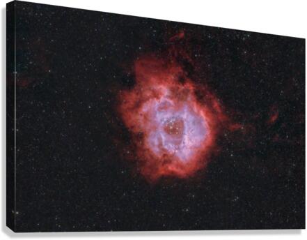Rosette Nebula Canvas Print
