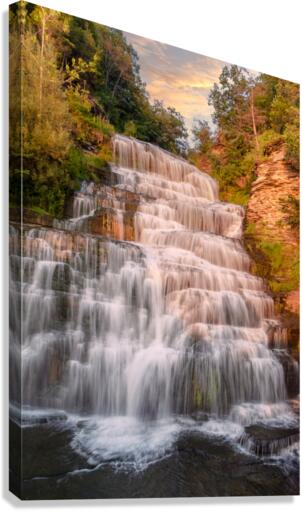 Hector falls Canvas Print