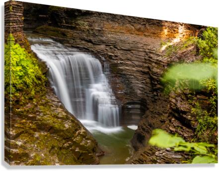 Through the brush Canvas Print
