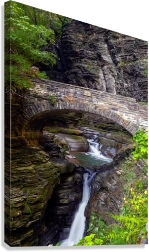 Central Cascade Canvas Print