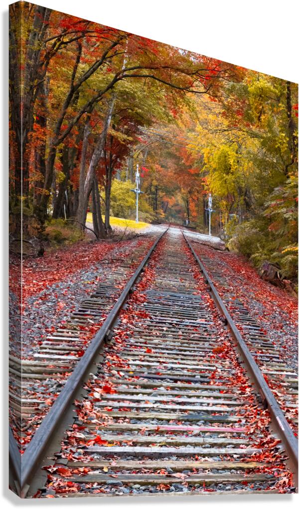 Tracks into fall Canvas Print