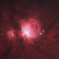 Orion Nebula