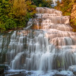 Hector falls landscape