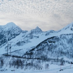 Snowy Highway