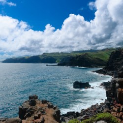 Land Meets Ocean