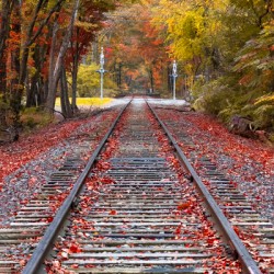 Tracks into fall