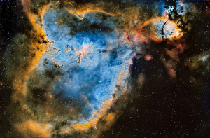 The Heart Nebula in SHO