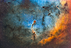IC 1396   - The Elephants Trunk Nebula in SHO