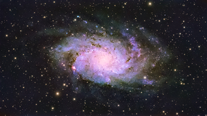 Triangulum Galaxy