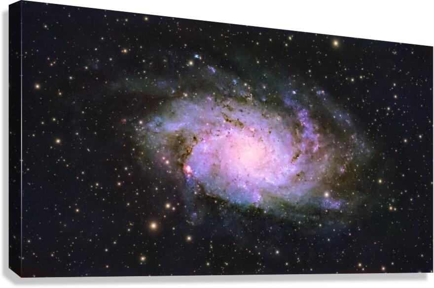 Triangulum Galaxy Canvas Print
