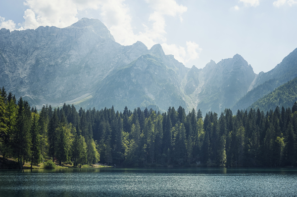Coniferous and Alpine lake by simowave