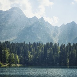 Coniferous and Alpine lake