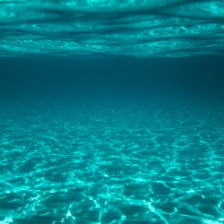 Clear Underwater Sea Background