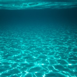 Clear Underwater Sea Background