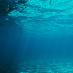 Clear Underwater Sea Background