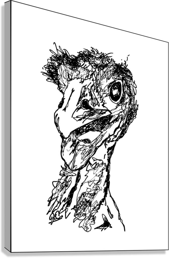 Emu Canvas Print