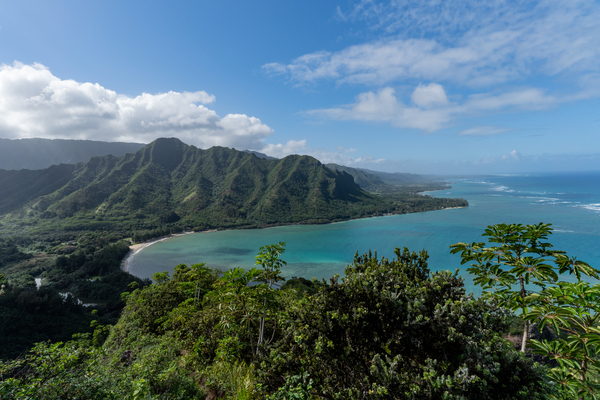 Hawaii Print