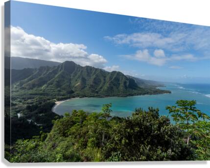 Hawaii Canvas Print