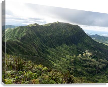 Oahu Canvas Print