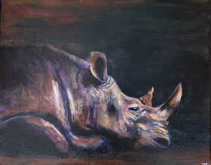 Rhino
