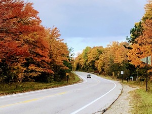 Autumn Road