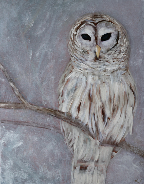 Snow Owl Print